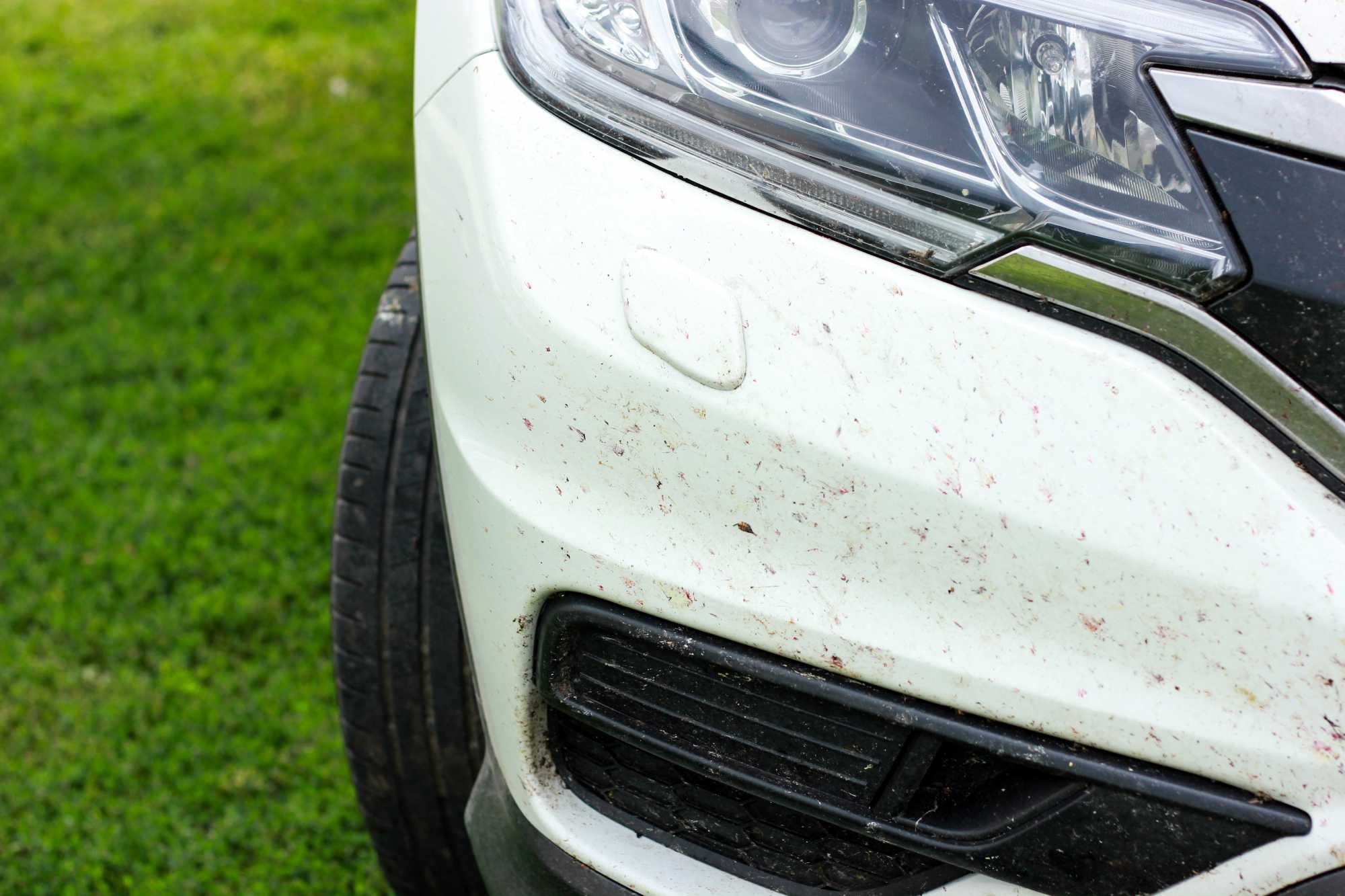 Why Bug and Tar Removal is Essential During Warmer Months